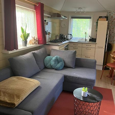 B En B Op Steendam, Tuinkamer Onder De Appelboom Buitenkant foto