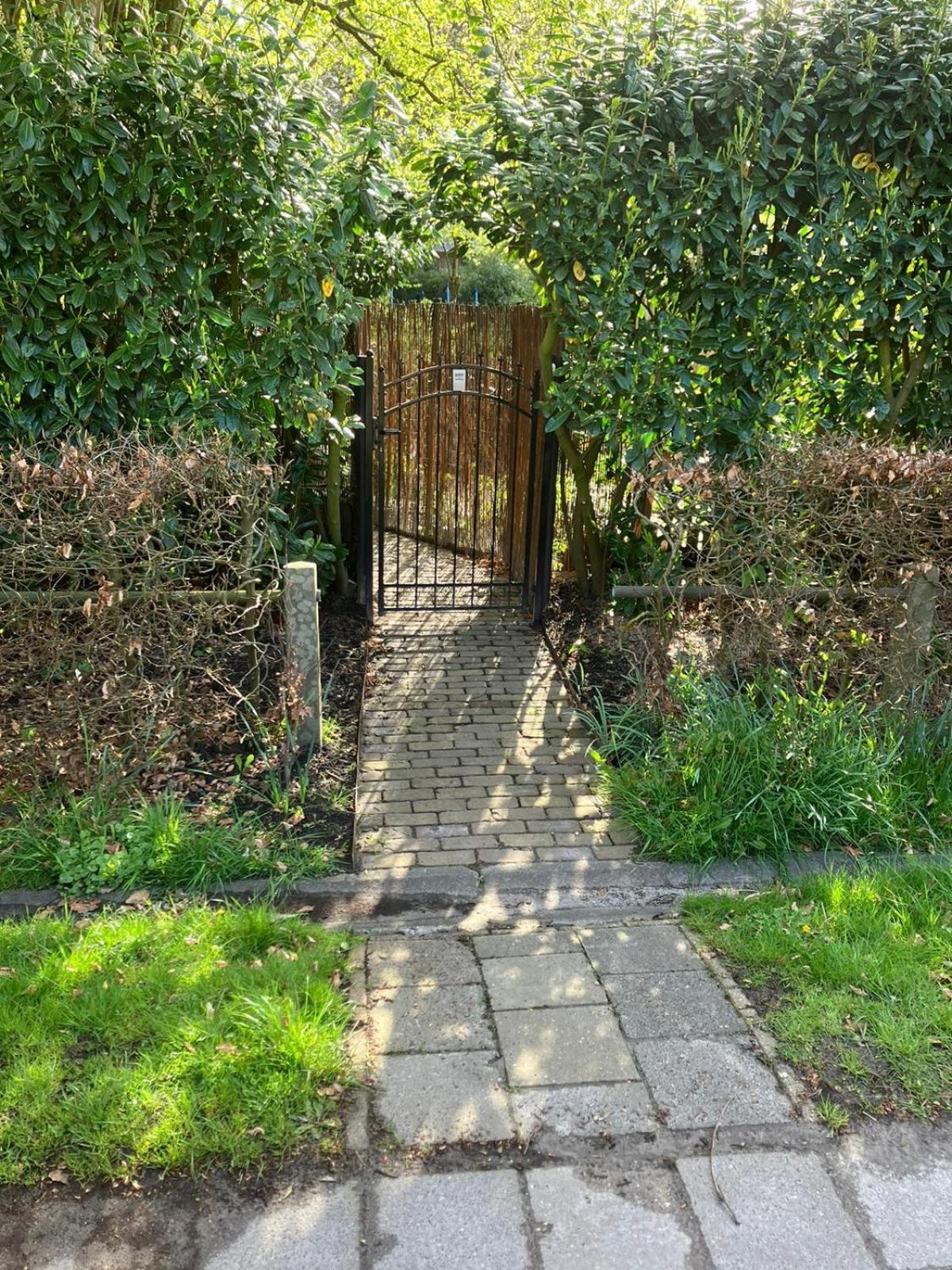 B En B Op Steendam, Tuinkamer Onder De Appelboom Buitenkant foto