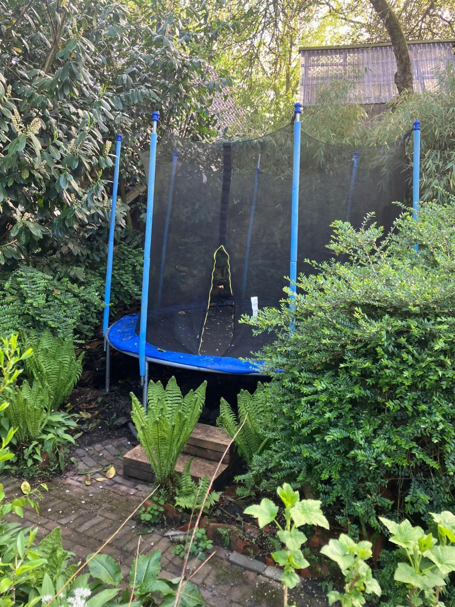 B En B Op Steendam, Tuinkamer Onder De Appelboom Buitenkant foto